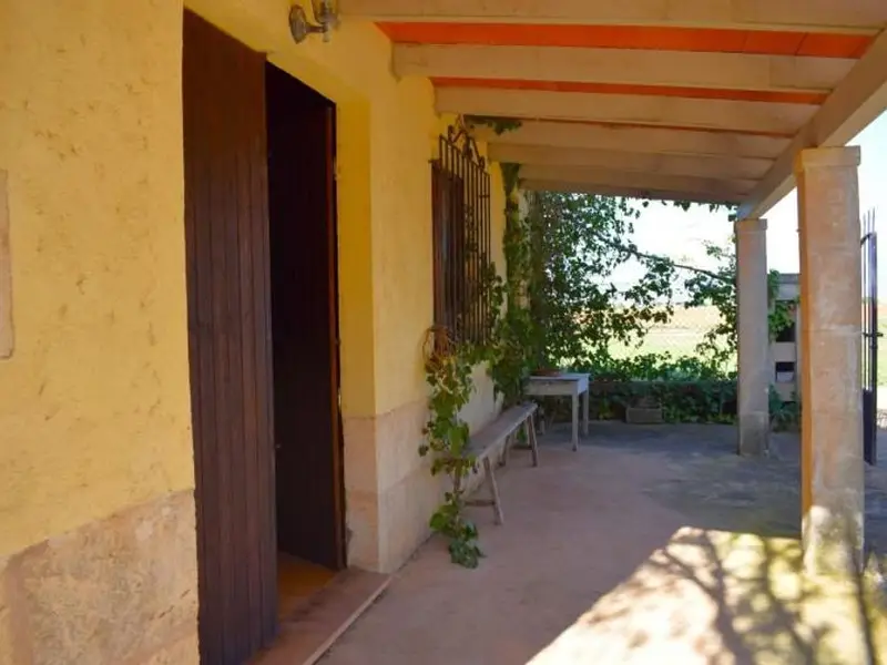 Finca con Vistas Serra Tramuntana Muro Mallorca