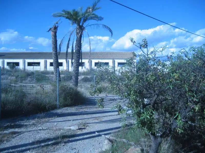 Solar Urbano en Almajalejo 5000m2 con Nave 843m2