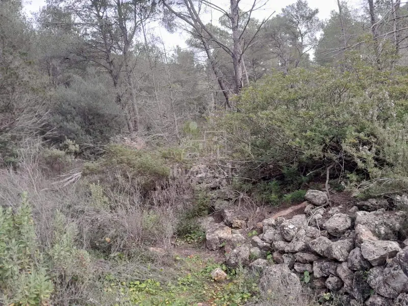 Finca Rustica en Venta San Juan de Labritja Ibiza