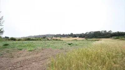 Finca Rustica en Venta Montuiri 20000m2