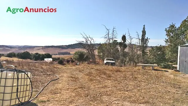 Venta  de Finca de recreo en Cádiz