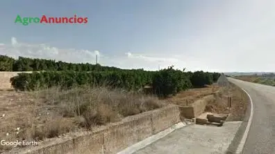 Venta  de Finca de regadío en Valencia