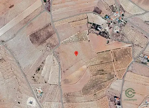 Parcela Edificable Pinoso Alicante 42248m2