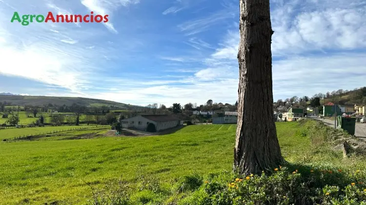 Venta  de Finca de pastos en Asturias