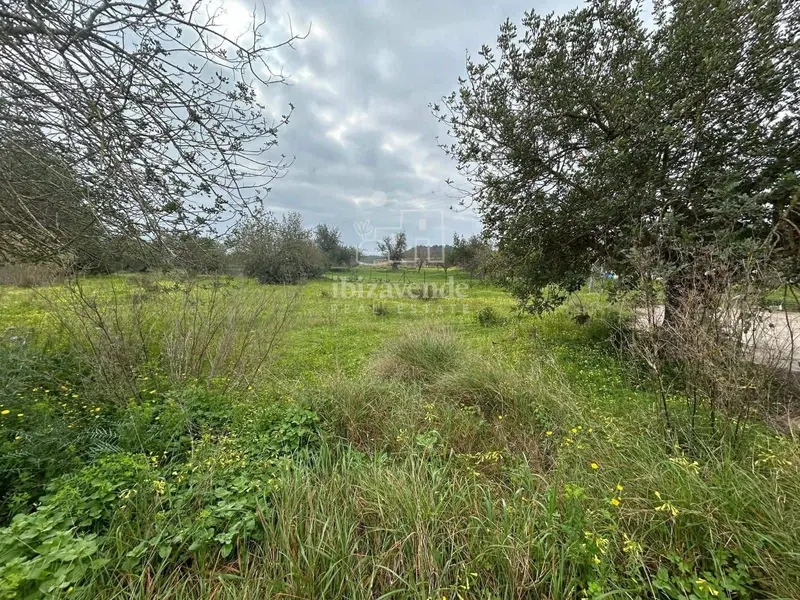 Finca Rustica en Venta en Ibiza Proyecto de Casa Moderna