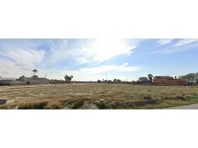 Magnifico Terreno 5000m2 Cerca Elche