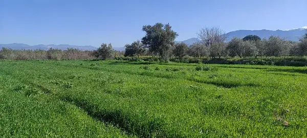 Parcela Rustica en Otura con Vistas Sierra Nevada