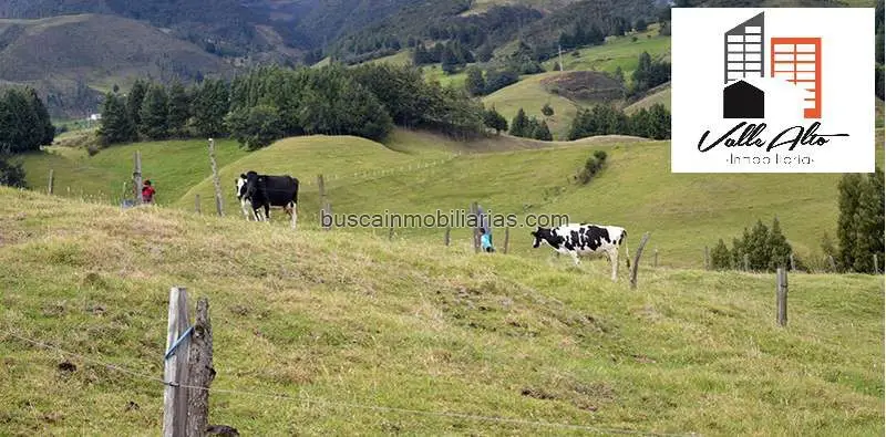Finca en Venta en Cuenca Portete Via Santo Tomas