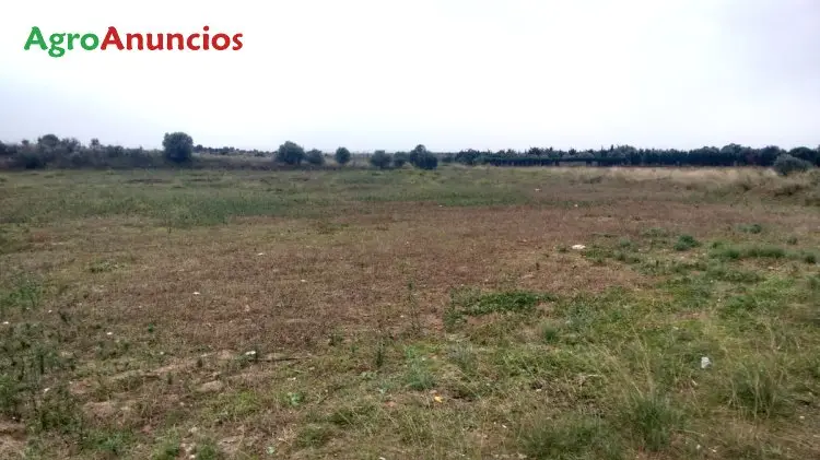 Venta  de Finca rústica en Girona