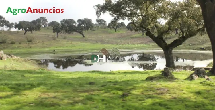 Venta  de Finca ganadera para vacuno y ovejas en Cáceres