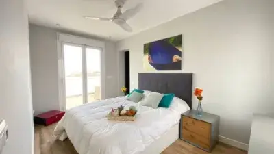 Piso en Alquiler Madrid Lavapiés 160m2 Dos Terrazas Vistas Impresionantes