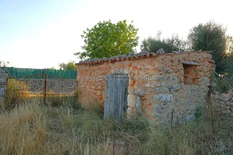 Finca Rustica en Venta Santa Margalida