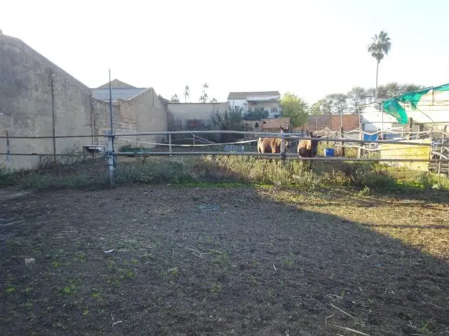 Solar Industrial 1430 m2 Nave Local Piso