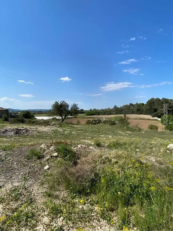 Finca Rustica Edificable 15245m2 Vistas Despejadas Manacor