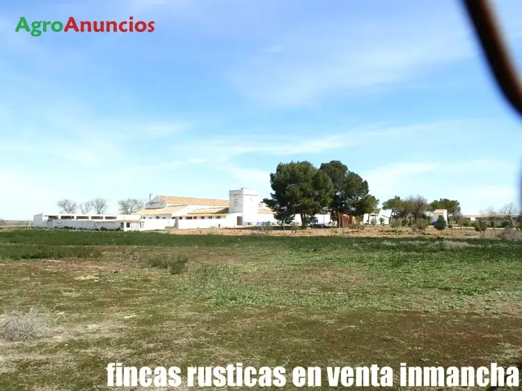 Venta  de Finca de regadío, labor y pastos en Toledo