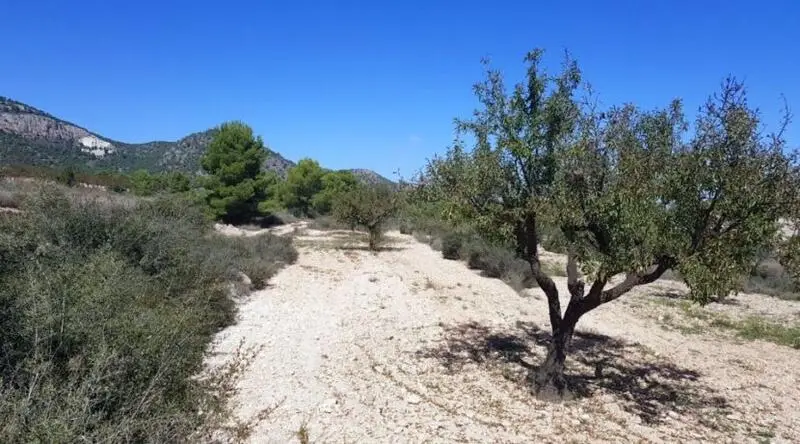 Villa en venta Monovar Alicante con vistas impresionantes