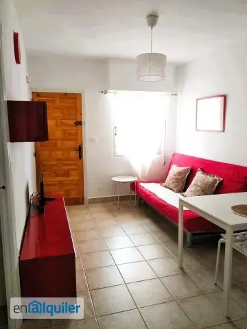 Piso en Alquiler La Mata 33m2 Cerca de la Playa