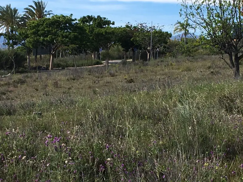 Terreno Comercial Cancelada Costa del Sol 30635m2