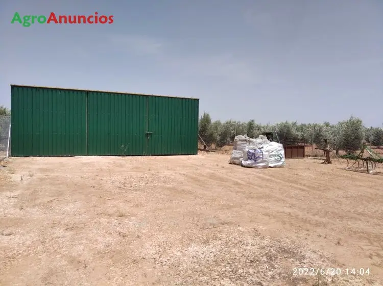 Venta  de Finca con riego de viñedo y olivar en Ciudad Real