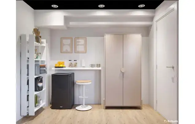 Rent 6 bedroom apartment in Madrid
