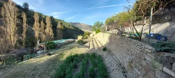 Huerta de Recreo con Cortijo y Piscina cerca del Rio