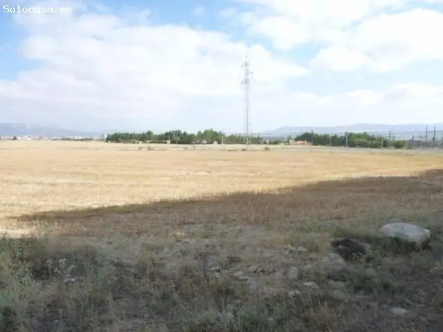 Parcela en Almansa Las Norias 13800m2