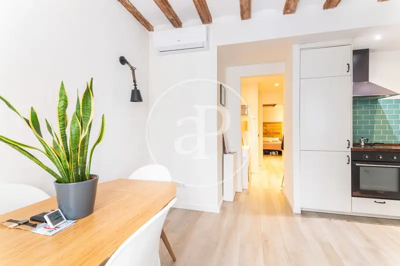 Apartamento en Alquiler El Born Cerca Mercado Santa Caterina