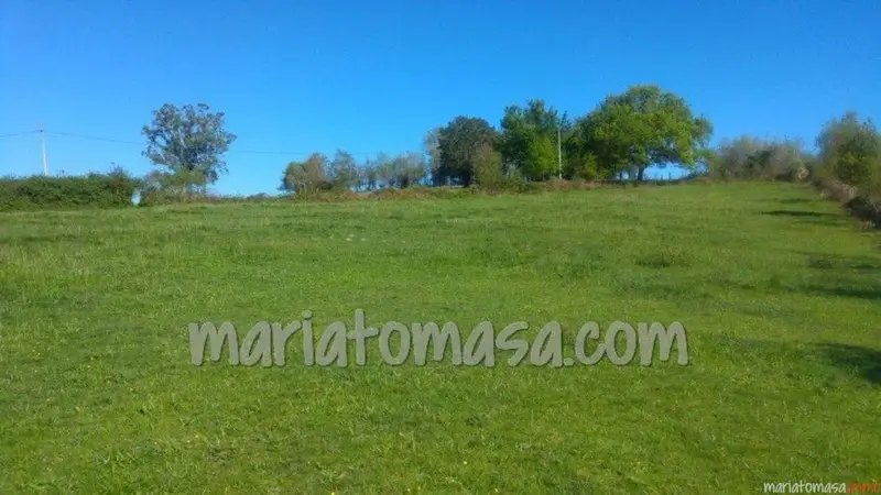 Terreno Rustico en Venta Gatika Vizcaya 20000m2