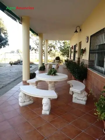 Venta  de Finca con chalet, viñas y bodega en Badajoz