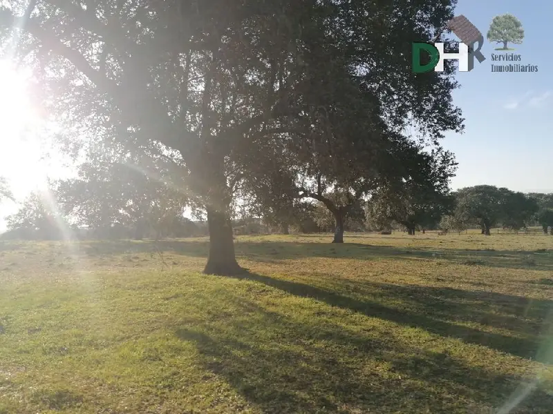 Venta Finca Rustica 420 Hectareas Ganaderia Cerdos Caceres