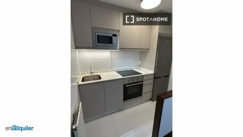 Apartamento 1 Dormitorio Vigo Amueblado Calefaccion Balcon Cocina Equipada