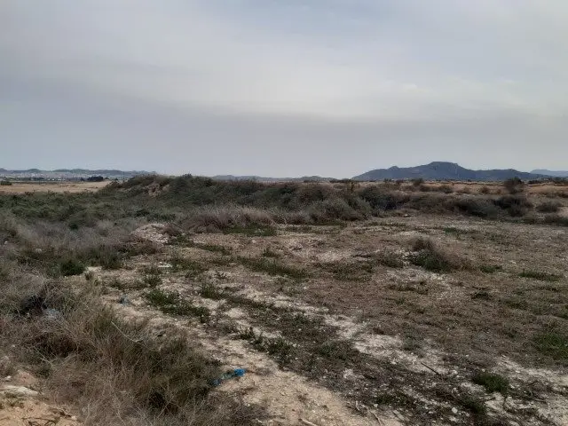 Venta Terreno Rustico 10000m2 Novelda Agua Riego