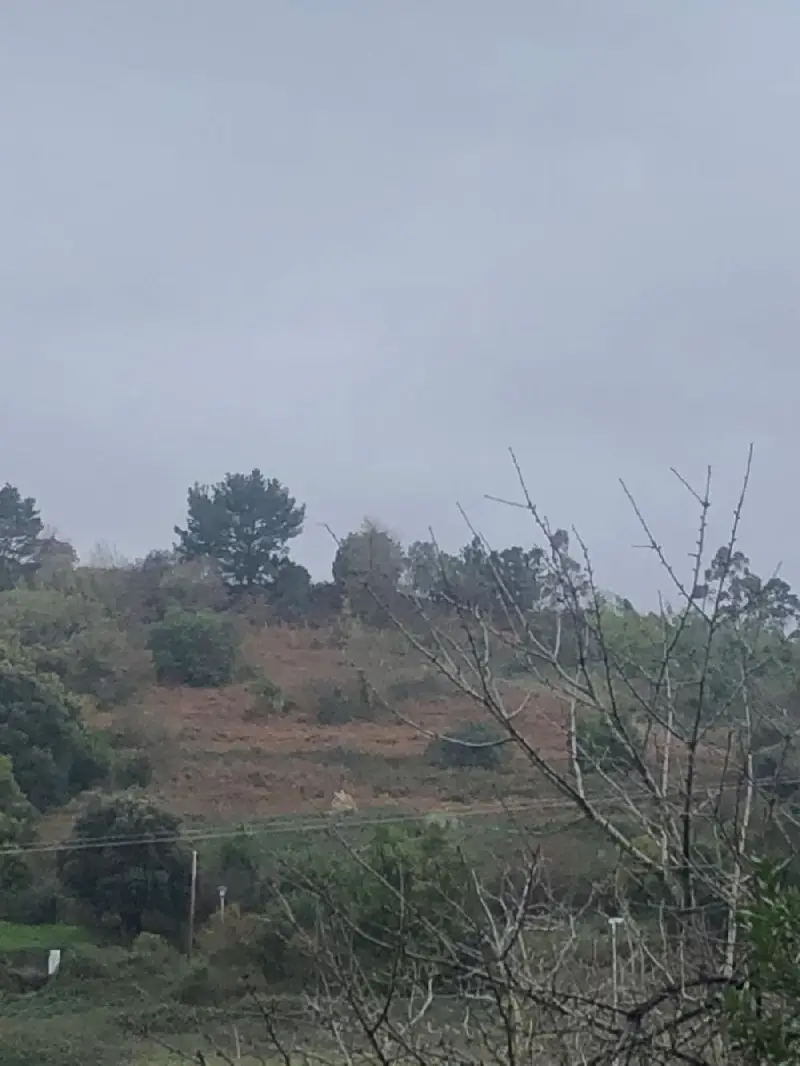 Venta Terreno 10000m2 Landa Urdúliz