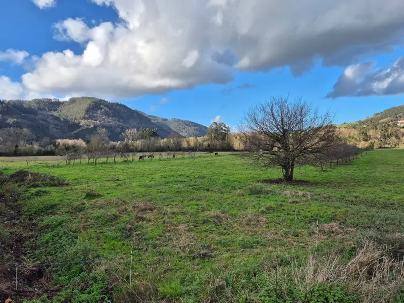Venta Finca Rustica en Grado