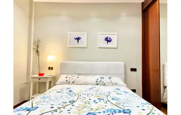 Habitacion 150m2 Bilbao Estancia Media Larga