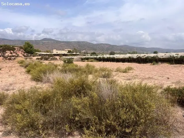 Parcela Regadío 6124m2 Alhama Murcia Cerca Totana