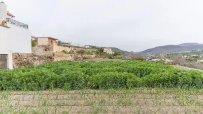 Casa en Venta en Ugijar 5 Habitaciones Jardin Terraza