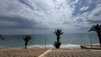 Apartamento en Venta Mil Palmeras 26m2 1 Baño