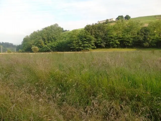 Terreno Rustico Llano 15120m2 Cerca Del Nucleo Urbano