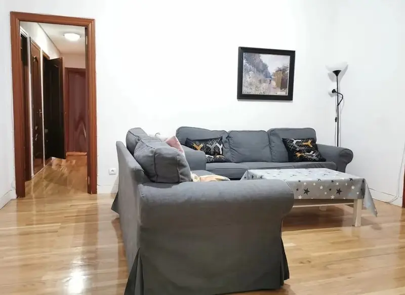 Apartamento 1 Dormitorio Madrid Alquiler