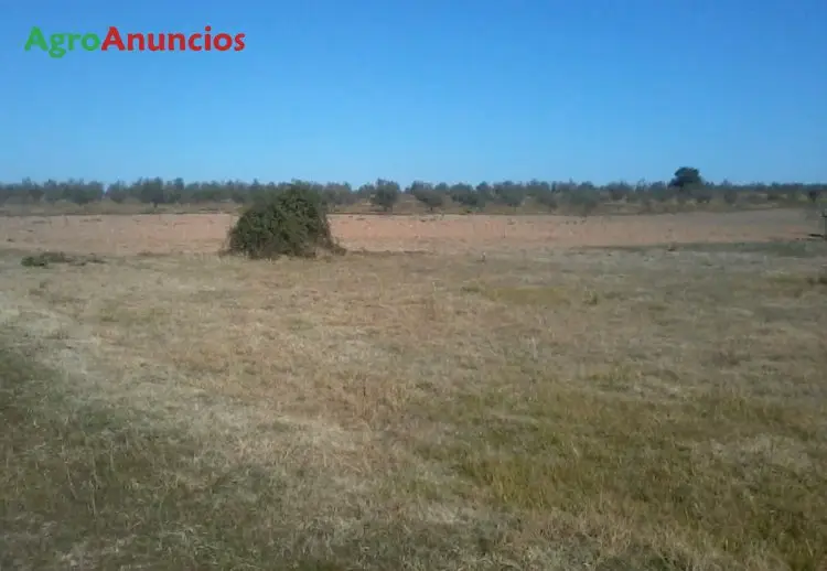 Venta  de Finca de recreo en Badajoz