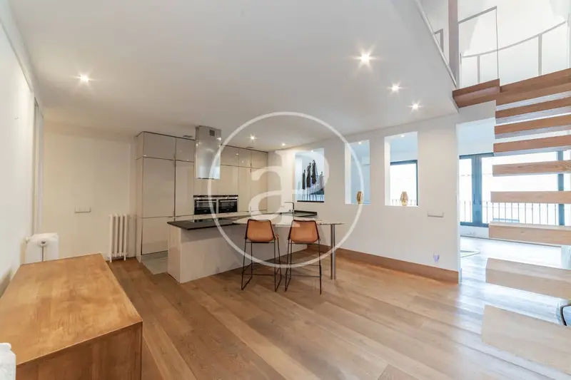 Atico Duplex Recoletos Madrid 2 Dormitorios 200m2