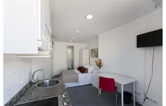 Alquiler Apartamento 7 Dormitorios Alicante Centro