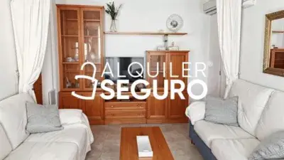 Alquiler Temporal Piso Benidorm 1 Dorm Octubre 2025 Mayo 2026