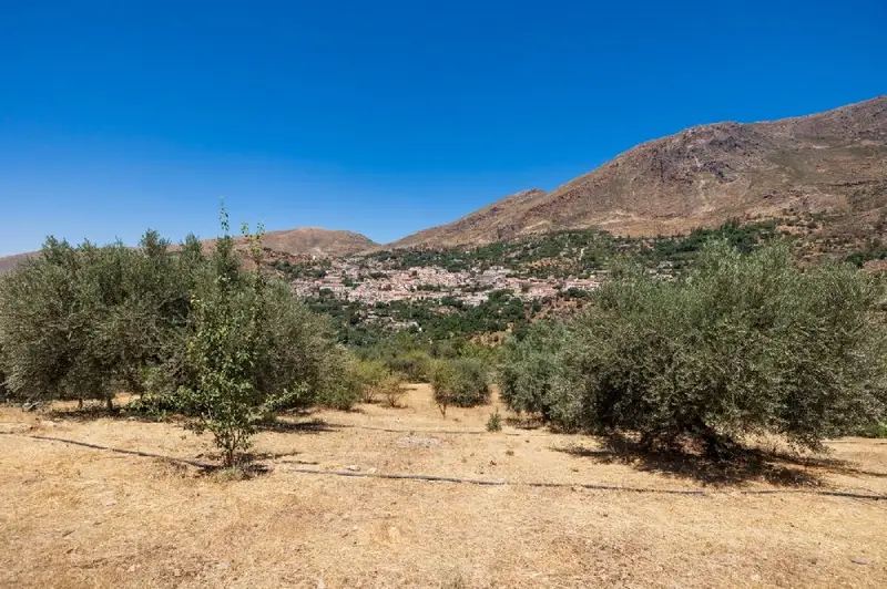 Venta Terreno con Vistas Sierra Nevada Guejar Sierra