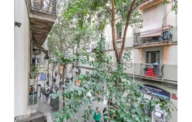 Apartamento 1 Dormitorio Ciutat Vella Barcelona