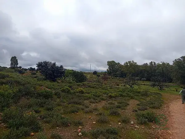 Terreno Rustico 10000m2 Calamonte Merida Dos Pozos