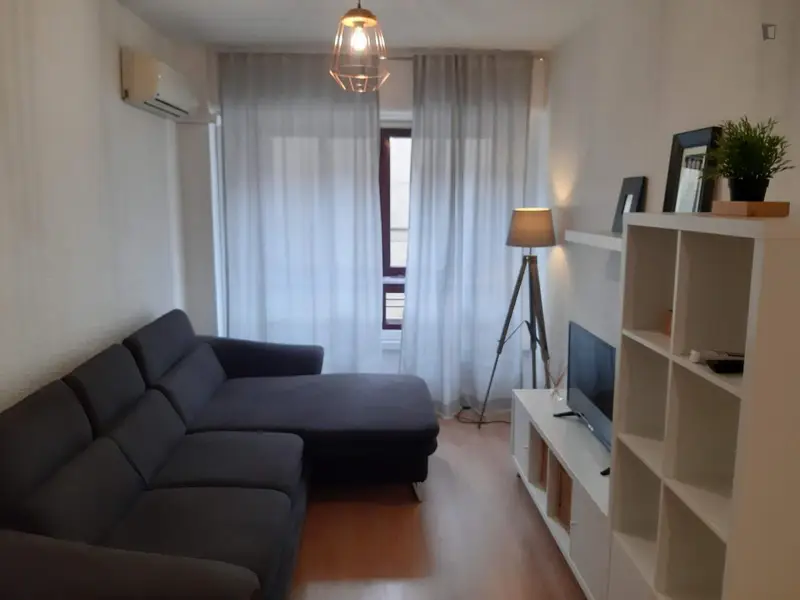 Habitacion Individual Piso Compartido Murcia Centro
