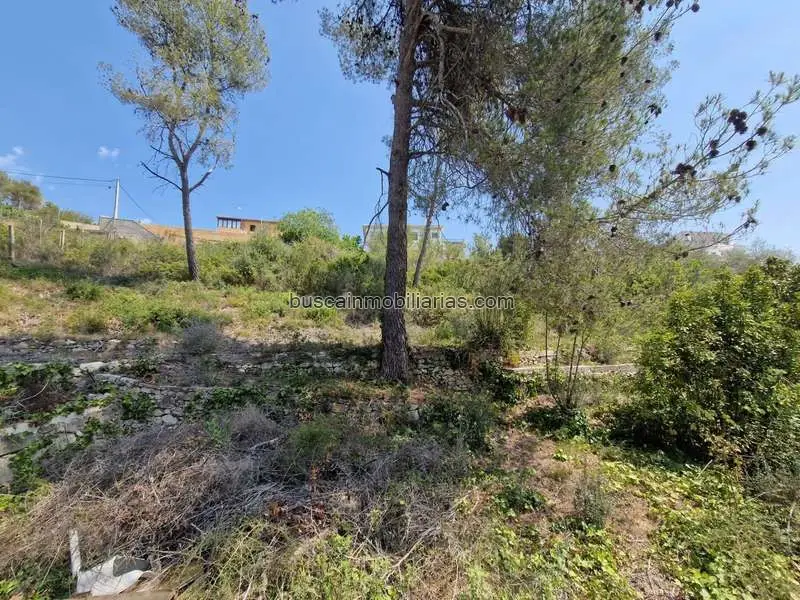 Parcela Urbana en Venta en Can Surià Olivella