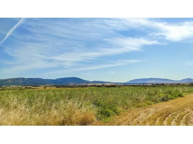 Terreno 16000m2 Edificable 21 Viviendas Cerca Pamplona
